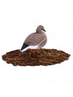 Гусь гуменник Softplast 3D (GS-3D), 10 штук
